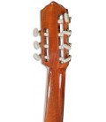 Photo of the Classical Guitar Artim炭sica 32S 7 Strings's machine head