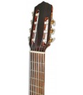 Photo of the Classical Guitar Artim炭sica 32S 7 Strings's head