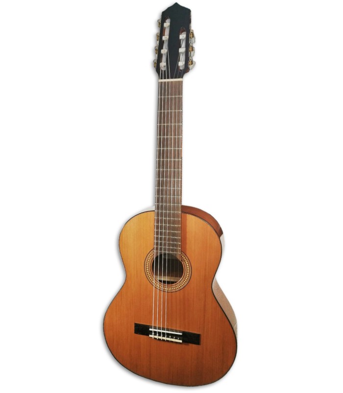 Photo of the Classical Guitar Artim炭sica 32S 7 Strings