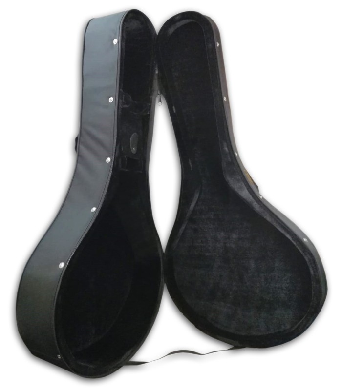 Photo of the Case Artcarmo model PFC-01's interior