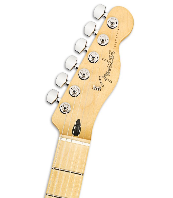 Photo of the Eletric Guitar Fender model Player Telecaster MN in color Butterscotch Blonde's head