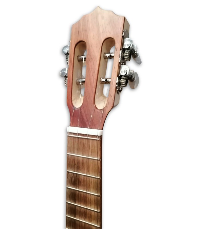 Photo of the Cavaquinho Artimúsica model CV12B's head