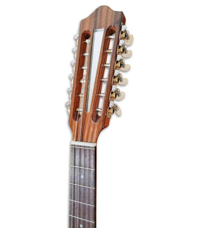 Photo of the Artimúsica Viola da Terra model VA90C's head