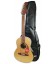 Acoustic Guitar Fender Sonoran Mini with Bag