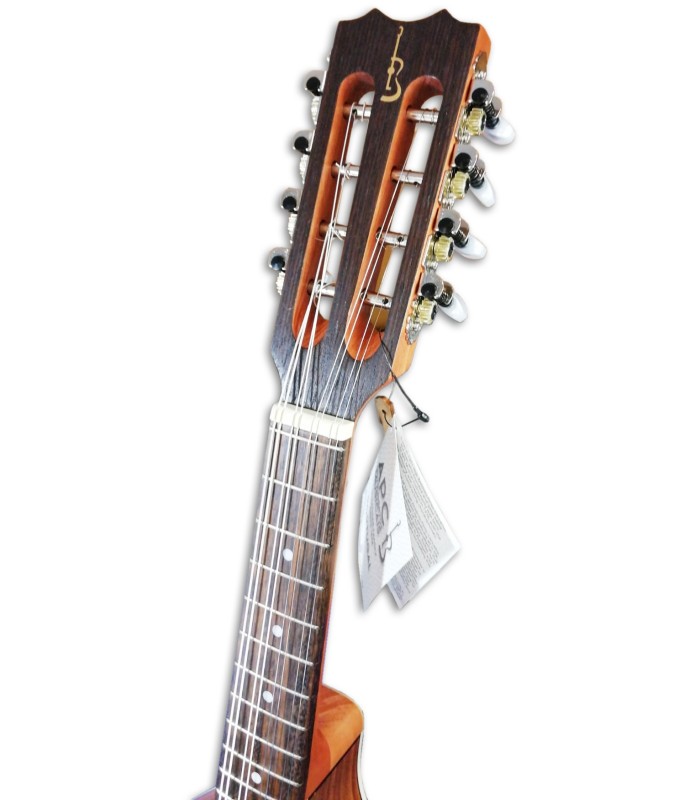 Photo of the mandolin APC MDL308's head