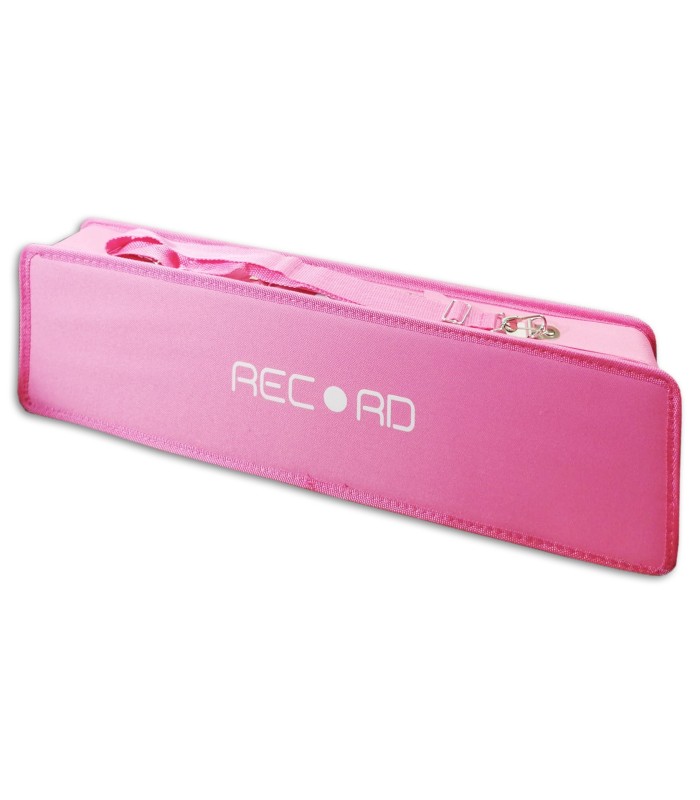 Photo of the Melodica Record model M-37PK's case