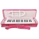 Photo of the Melodica Record model M-37PK inside the case