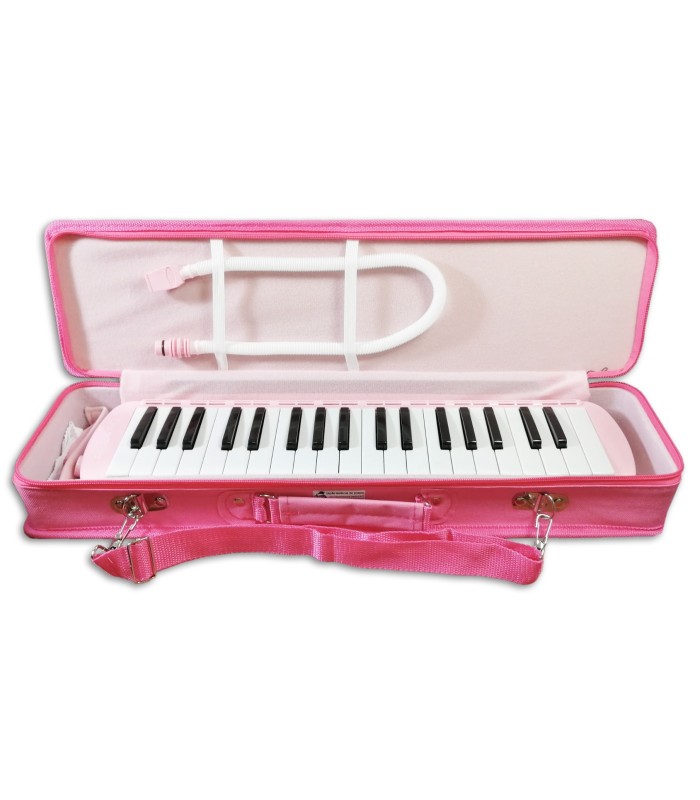 Photo of the Melodica Record model M-37PK inside the case