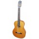 Photo of the Classical Guitar Artimúsica model GC02C