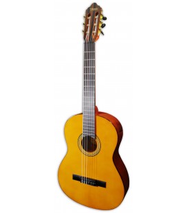 Photo of the classical guitar Valencia model VC264 natural