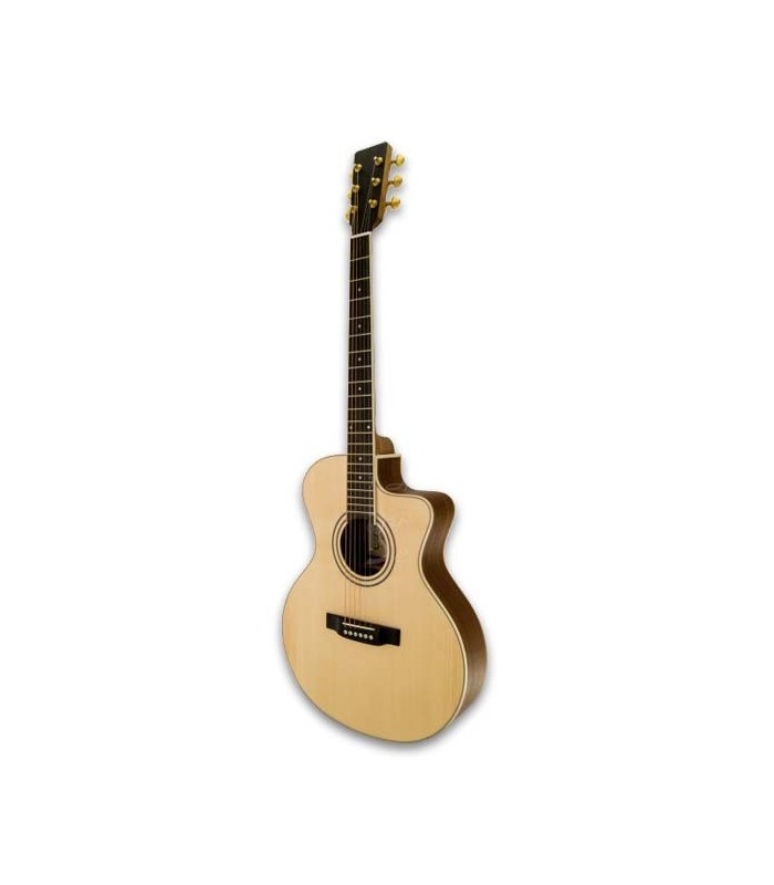Photo 3/4 of  guitar APC EA100CWPP