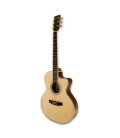 Photo 3/4 of  guitar APC EA100CWPP