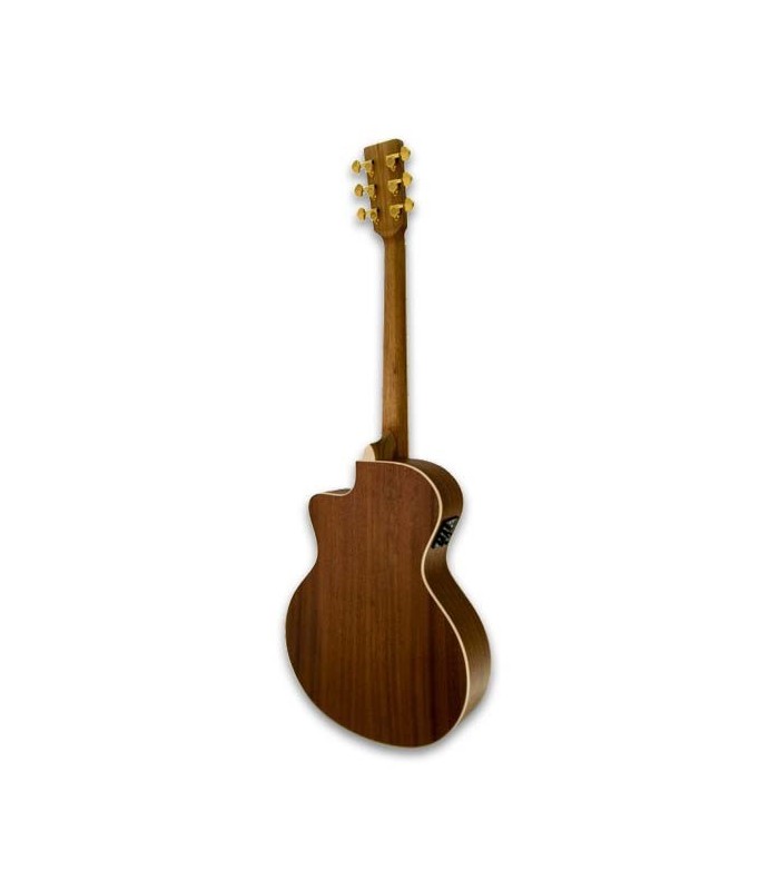 Back of  guitar APC EA100CW