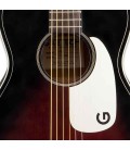 Body of guitar Gretsch 9500 Jim Dandy 