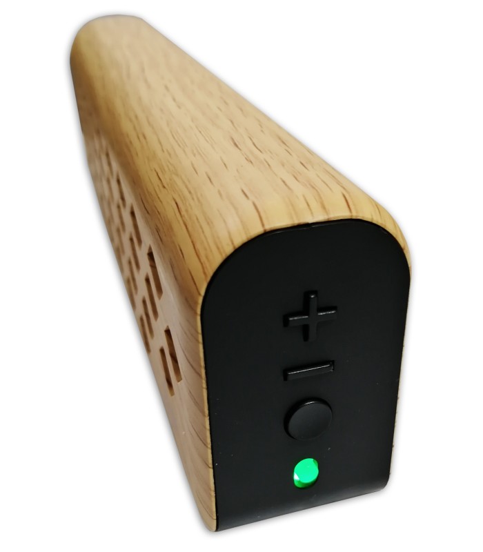 Detail of the amplifier Fligtht model Mini 6248's controls