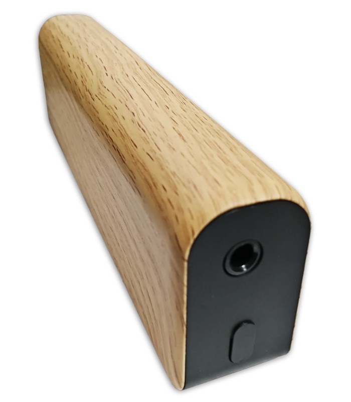 Detail of the amplifier Fligtht model Mini 6248's input