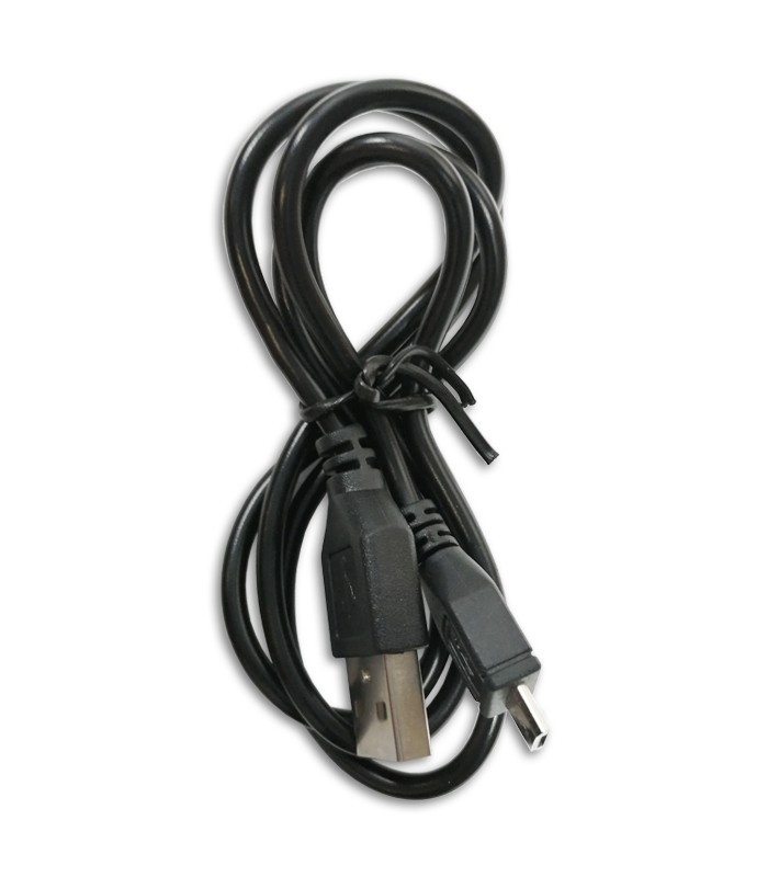 Amplifier Fligtht model Mini 6248's USB cable