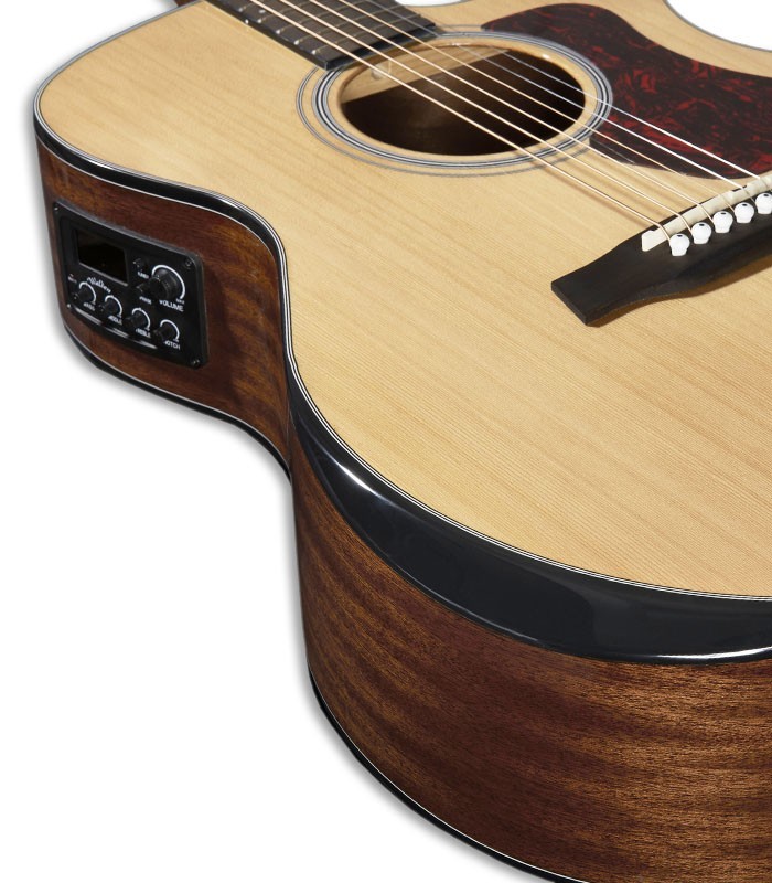 Detail of the electroacoustic guitar Walden model G570RCERVW Rui Veloso 40 years's body and preamp