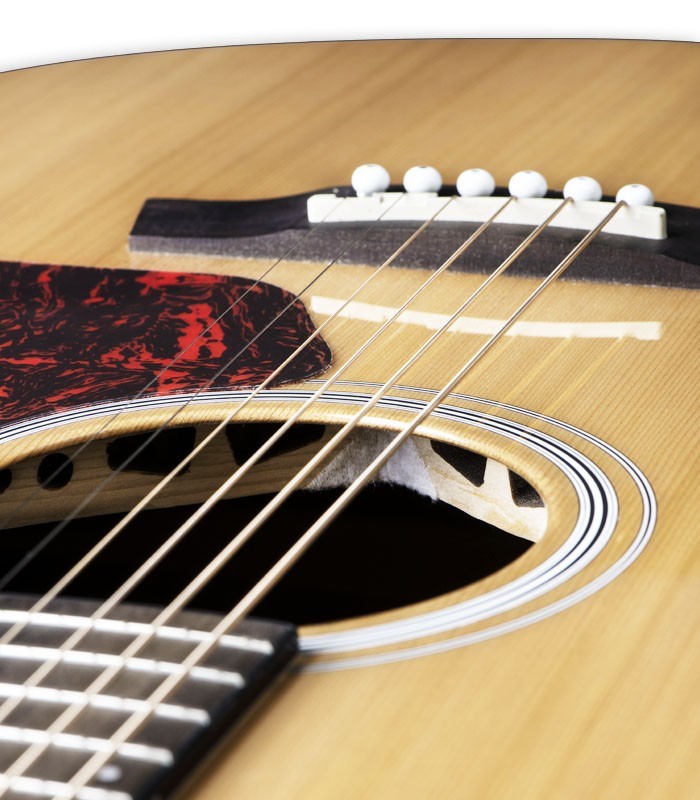 Detail of the electroacoustic guitar Walden model G570RCERVW Rui Veloso 40 years's top and bridge