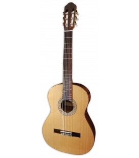 Photo of the classical guitar Raimundo model 118 with a cedar top