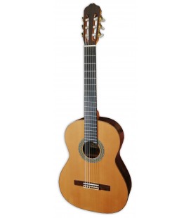 Photo of the classical guitar Raimundo model 128 with a cedar top, rosewood back and sides