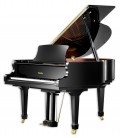 Photo of the Grand Piano Ritm端ller model RS150 Superior Line Grand