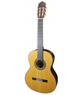 Photo of the classical guitar Paco Castillo model 204 with spruce top and indian rosewood back and sides
