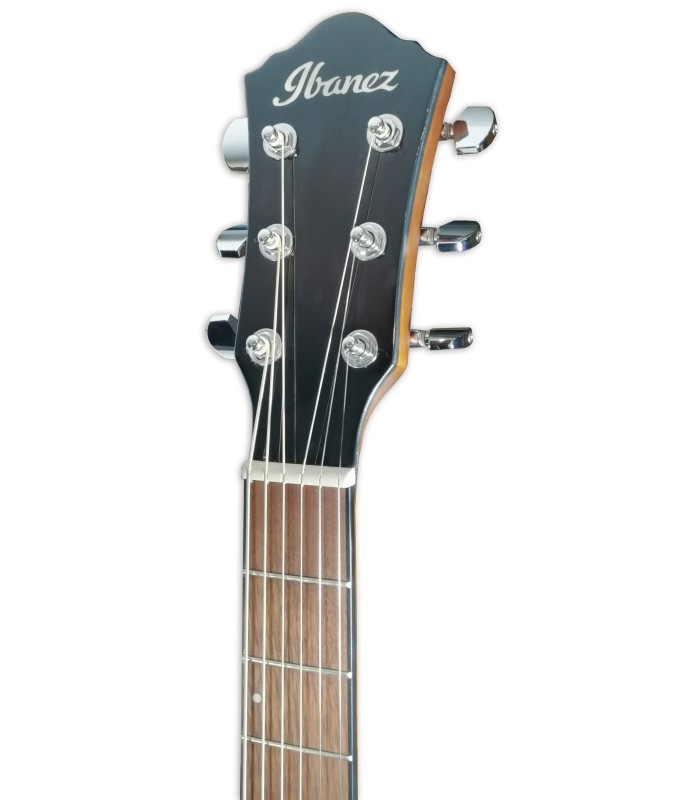 electroacoustic-guitar-ibanez-
