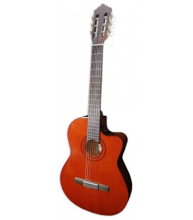 Photo of the classical guitar Ashton model CG44CEQAM with cutaway and Equalizer