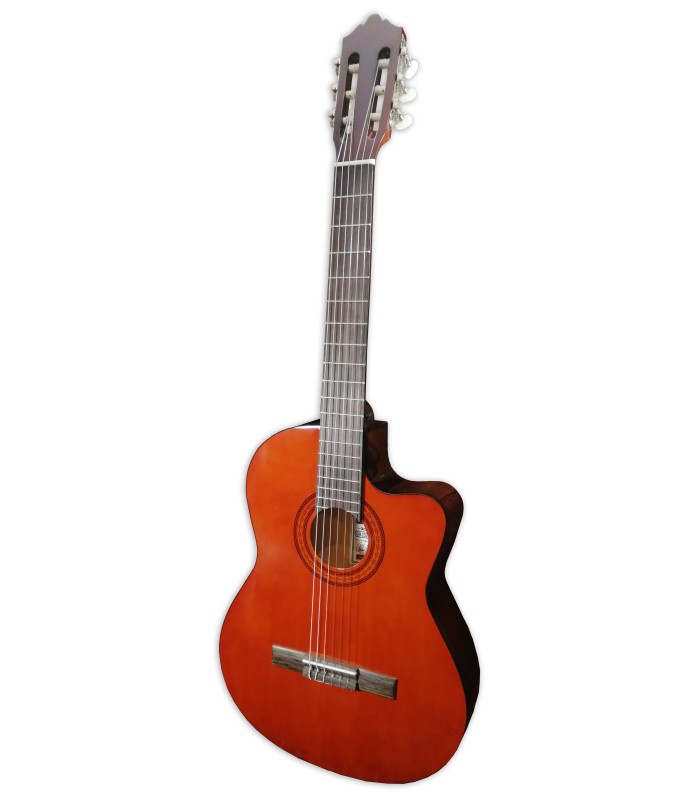 Photo of the classical guitar Ashton model CG44CEQAM with cutaway and Equalizer