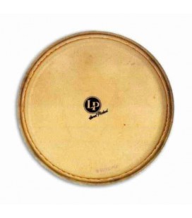 LP Quinto Head LP274AE Galaxy Giovanni Synthetic