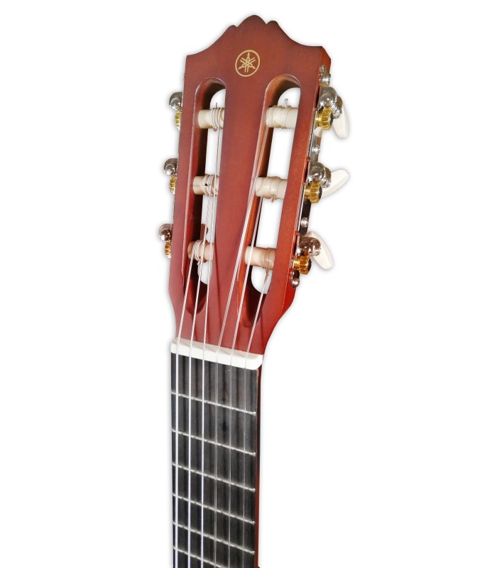 Head of the guitalele Yamaha model GL1 PB Persimmon Brown