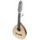 Photo of the spanish lute APC model LAU305