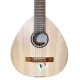 Top of the spanish lute APC model LAU305