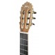 Head of the classical guitar Manuel Rodríguez model Ecologia E-65