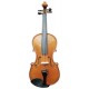 Front view of the violin Gliga model Gama II 4/4 size