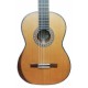 Cedar top of the classical guitar Manuel Rodríguez model Magistral E-C
