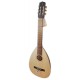 Guitar Lute APC model LUTG306