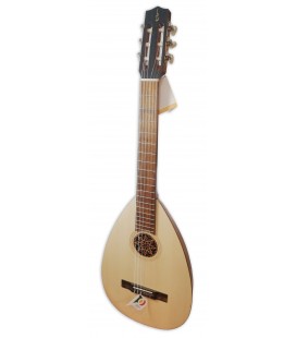 Guitar Lute APC model LUTG306