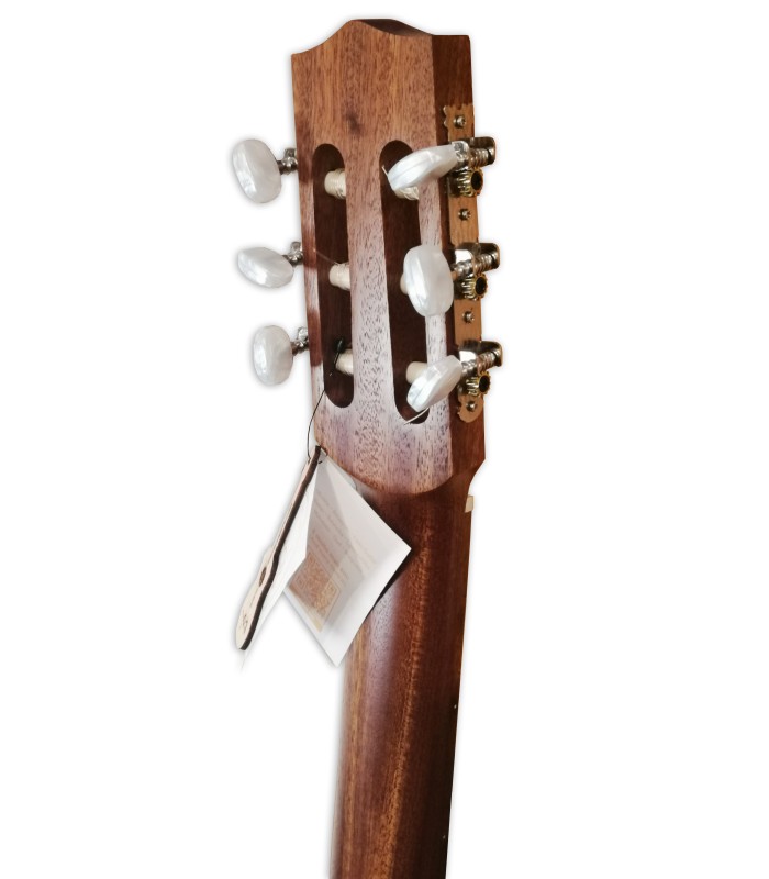 Machine head of the guitar Lute APC model LUTG306