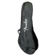 Bag of the mandolin Fender model PM 180E