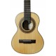 Spruce top of the Brazilian cavaquinho Artimúsica model CV50S Simple