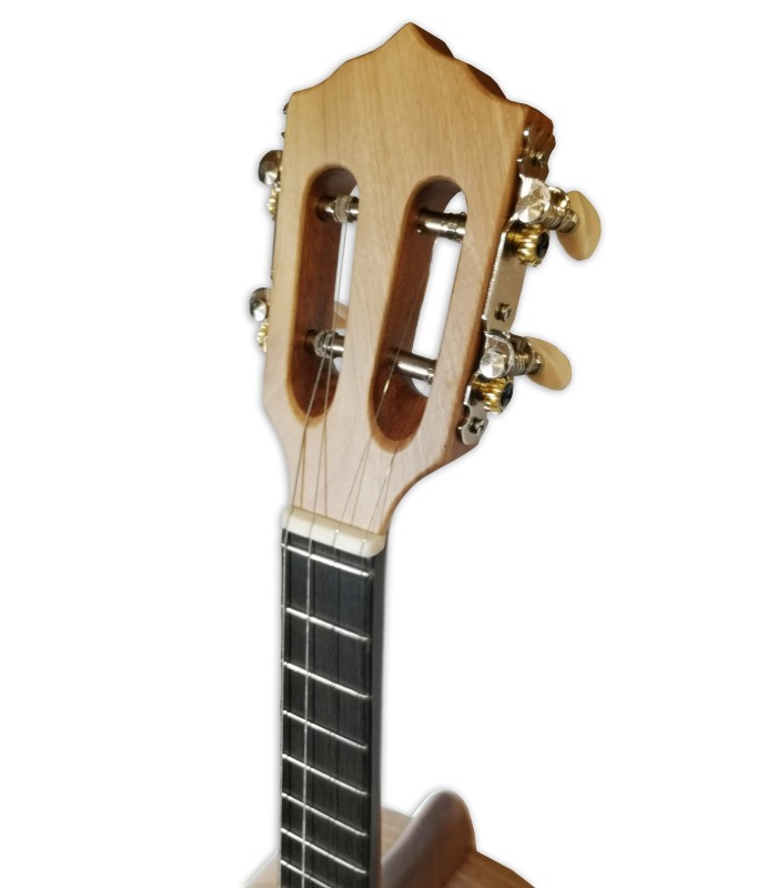 Head of the Brazilian cavaquinho Artimúsica model CV50S