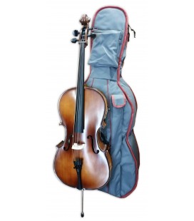 Cello Stentor Student II 1/4 SH with Bow and Gig Bag