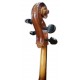 Head of the cello Stentor model Student II SH 1/4