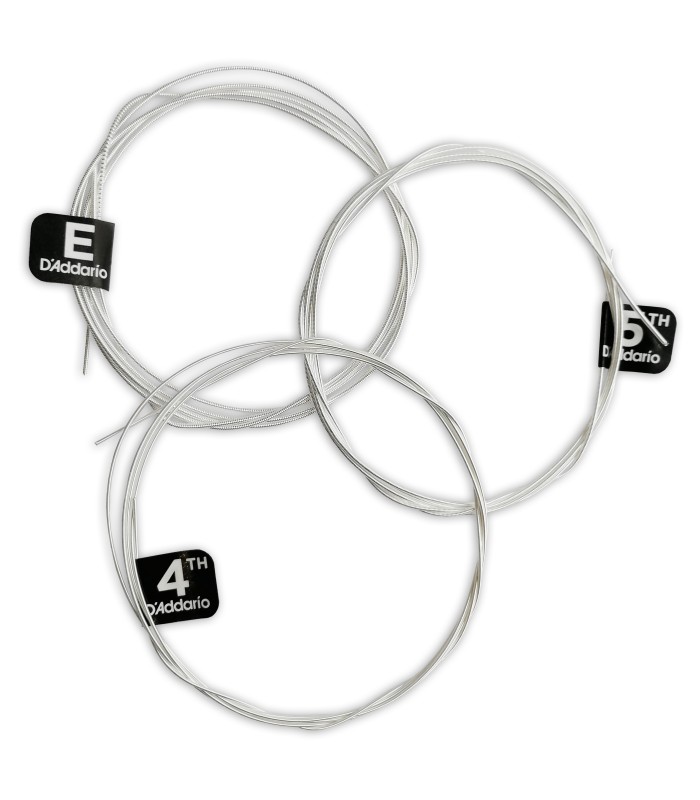 Strings from the string set of basses Daddario modelo SNN-3B Pro Arte