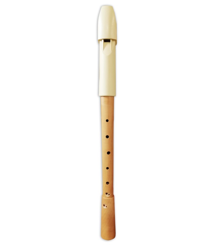 Recorder Mollenhauer model 1295 Prima Alto Baroque in wood and plastic