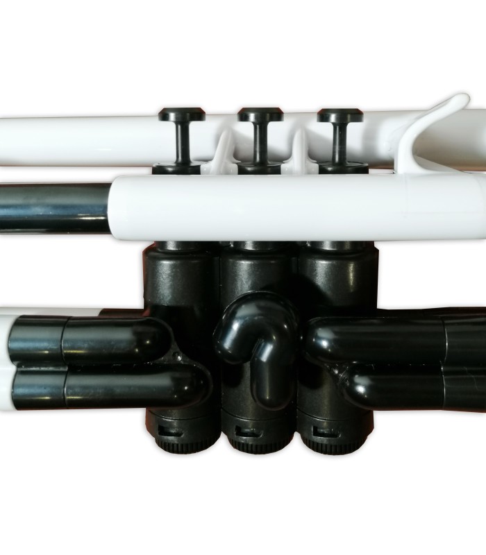 Pistons of the trumpet Ptrumpet Bb in white plastic