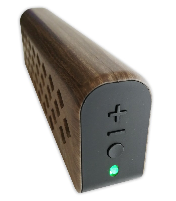 Detail of the controls of the amplifier Fligtht model Mini 6247