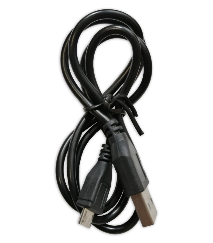 Charger cable of the amplifier Fligtht model Mini 6247